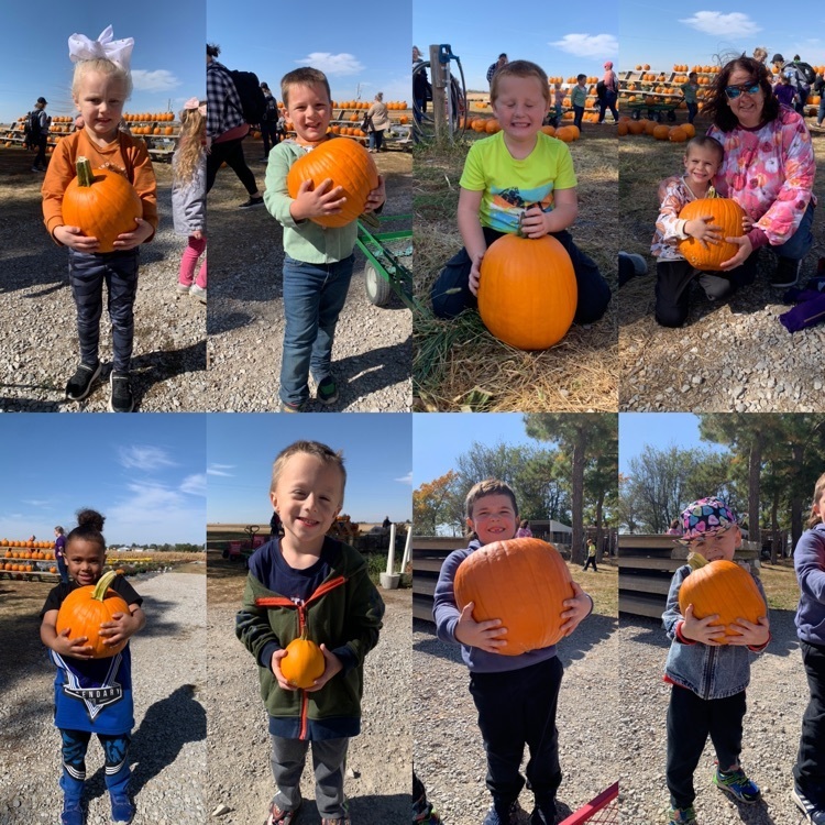 pumpkin patch